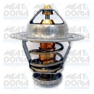 Thermostat, coolant